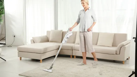 Hersteller von Handstaubsaugern, Staubabsaugung praktisch und 2-in-1